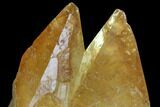 Golden, Twinned Calcite Crystals With Sphalerite - Elmwood Mine #103943-2